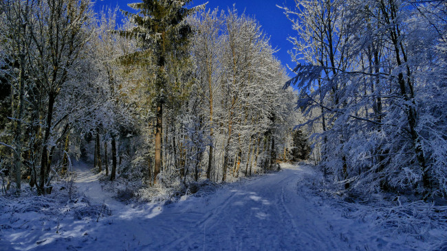 Обои картинки фото природа, зима, тракт