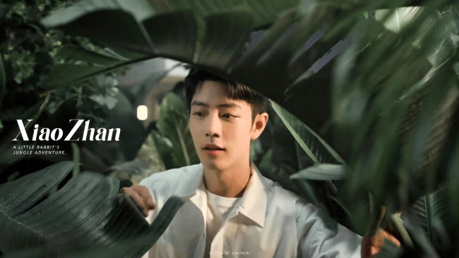 Обои картинки фото мужчины, xiao zhan, актер, лицо, листья, джунгли