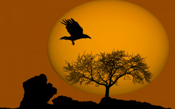 Картинка ravens ball природа пейзажи солнце