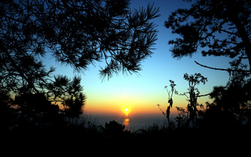 Картинка sunrise природа восходы закаты рассвет лес
