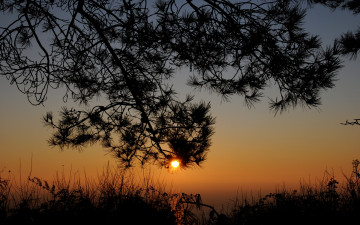 Картинка sunrise природа восходы закаты утро рассвет