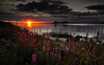 Картинка sunset природа восходы закаты закат берег