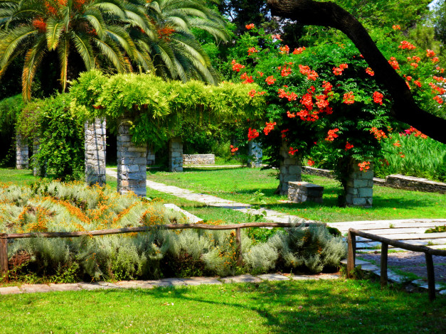 Обои картинки фото природа, парк, пальмы, кусты, цветы