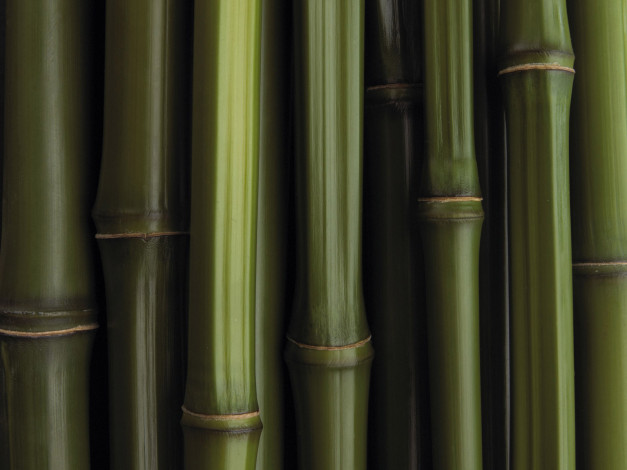 Текстура бамбука майнкрафт