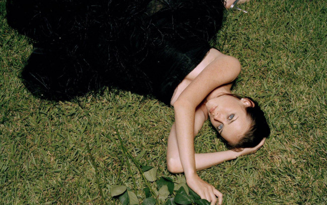 Обои картинки фото Alexis Bledel, девушки, , , на, траве