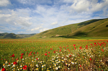 Картинка природа луга облака цветы горы трава луг