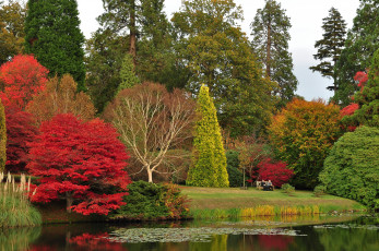 Картинка природа парк водоём краски осень деревья кусты
