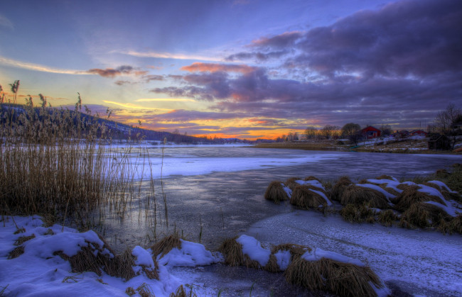 Обои картинки фото природа, зима, снег, сумрак, тучи, камыш, лёд, озеро