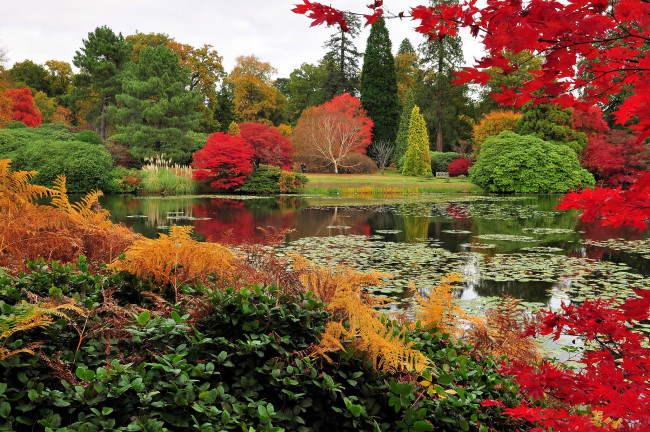 Обои картинки фото природа, парк, деревья, кусты, водоём, краски, осень