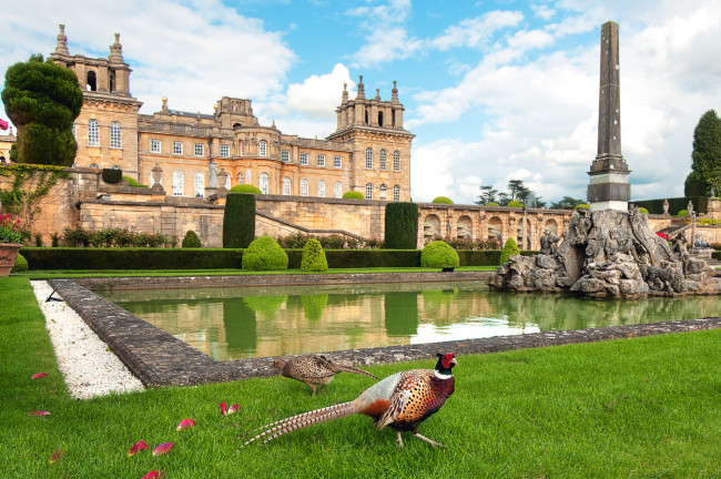 Обои картинки фото blenheim palace, города, - дворцы,  замки,  крепости, дворец, стелла, пруд, парк, фазан