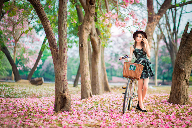 Обои картинки фото девушки, -unsort , азиатки, pink, garden, велосипед, весна, цветение, девушка