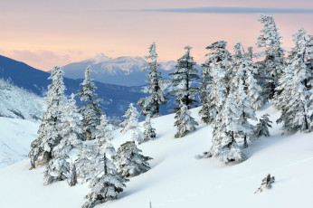 Картинка природа зима горы снег деревья