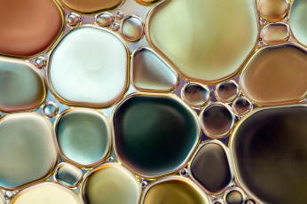 Картинка разное капли +брызги +всплески вода масло масляные круги пузыри макро