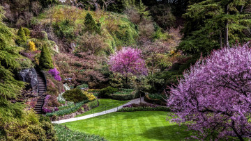 Картинка canada+vankuver+butchart+butchart+gardens природа парк весна