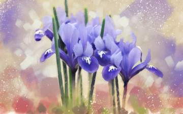 Картинка рисованное цветы ирисы