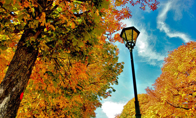 Обои картинки фото природа, парк, фонарь, осень