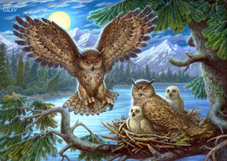 Картинка рисованное животные +птицы +совы +филины сова