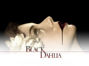 обоя кино фильмы, the black dahlia, девушка, лицо, цветок