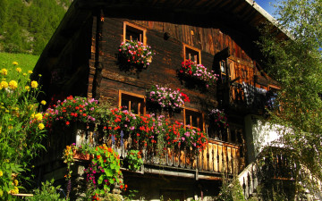 Картинка города здания дома деревянный дом цветы на окнах балконе