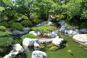 Картинка природа парк japanese garden balboa park san diego california