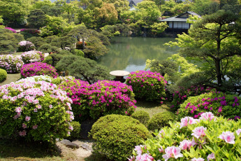 Картинка природа парк kobe japan