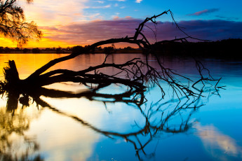 Картинка природа реки озера закат дерево река