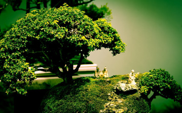 Картинка природа деревья бонсай дерево фигуры