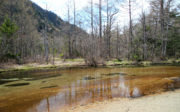 Картинка природа реки озера река весна