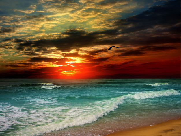 Обои картинки фото природа, моря, океаны, чайка, облака, закат, волны, море