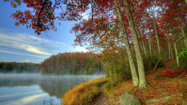 Обои картинки фото природа, реки, озера, туман, осень, вода