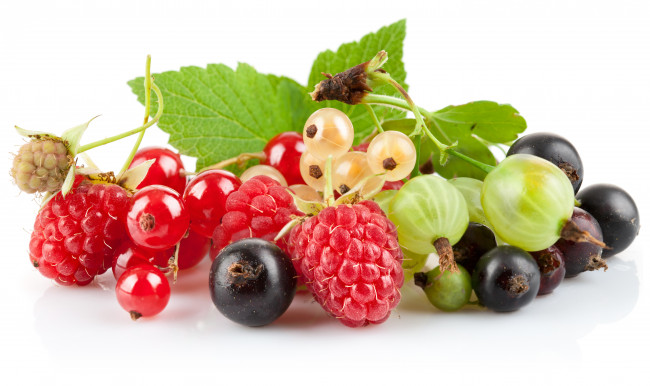 Обои картинки фото еда, фрукты, ягоды, малина, белая, смородина, красная, крыжовник, чёрная
