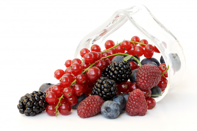 Обои картинки фото еда, фрукты, ягоды, ежевика, малина, голубика, красная, смородина