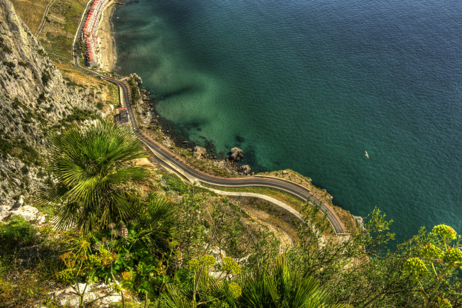 Обои картинки фото природа, побережье, gibraltar, гибралтар, море, дорога, пальмы, скала
