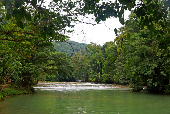 Обои картинки фото природа, реки, озера, Чьяпас, мексика, agua, azul