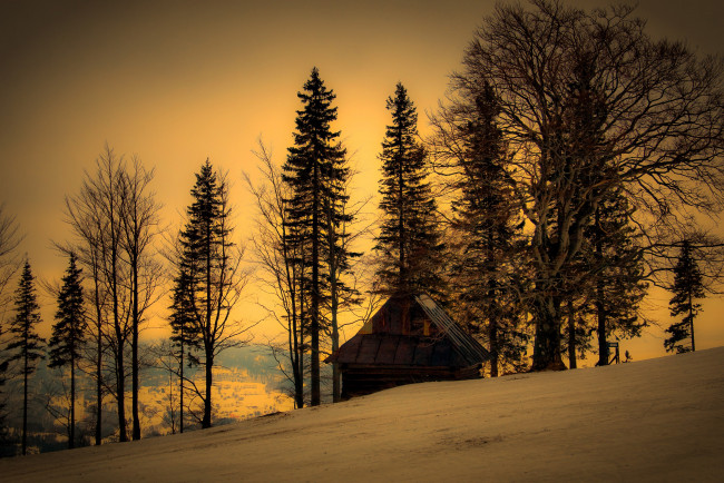 Обои картинки фото природа, зима, дом, деревья
