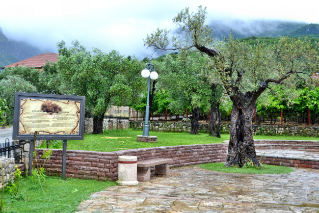Обои картинки фото Черногория, бар, города, пейзажи, парк, фонари, ограда, дорожки, деревья