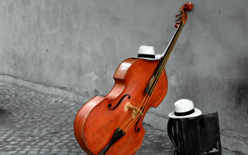 обоя музыка, -музыкальные инструменты, баян, шляпа, виолончель