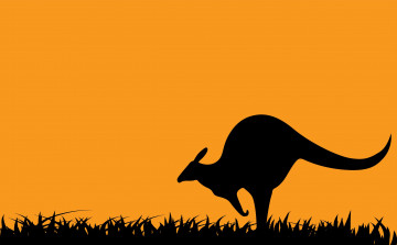 Картинка рисованное минимализм кенгуру трава
