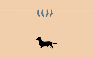 Картинка рисованное минимализм собака веревка такса носки