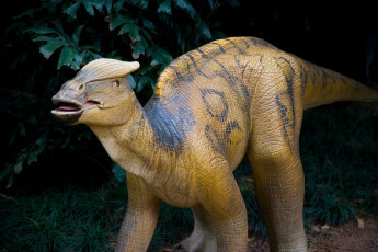 Картинка разное рельефы статуи музейные экспонаты динозавр