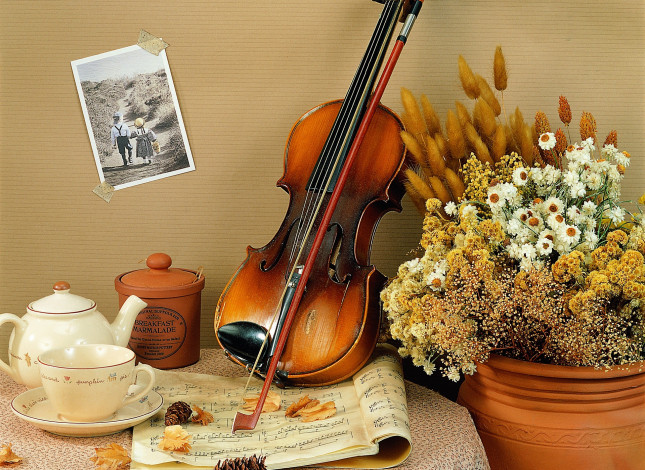 Обои картинки фото музыка, музыкальные, инструменты, угощение, букет, скрипка