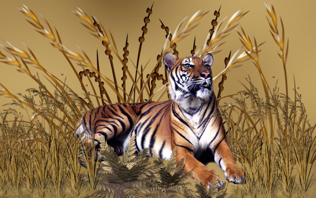Обои картинки фото golden, tiger, 3д, графика, animals, животные, трава, тигр, степь