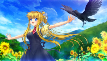 Картинка аниме air радость жест птица kamio misuzu mutsuki девушка art подсолнухи поле