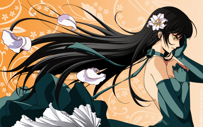 Обои картинки фото аниме, *unknown , другое, профиль, чёрные, волосы, брюнетка, цветы, девушка, платье
