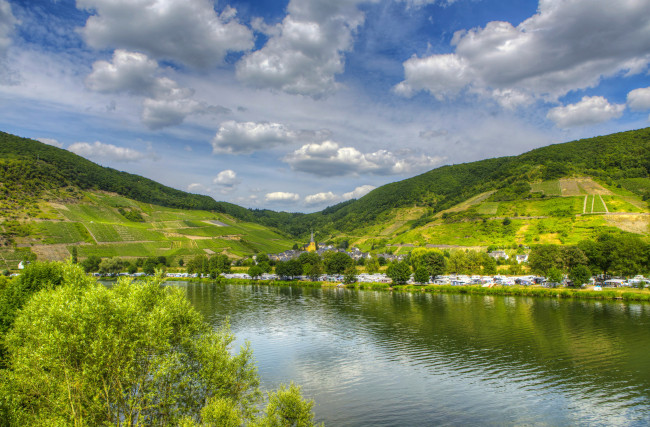Обои картинки фото природа, реки, озера, река, деревья, трава, лето, германия