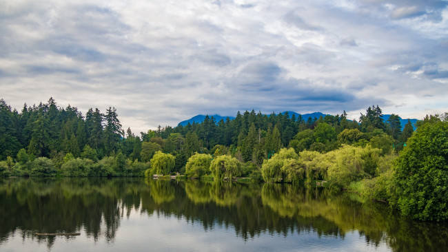 Обои картинки фото природа, реки, озера, лес, река