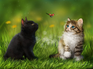 Картинка разное компьютерный+дизайн бабочка кошки дизайн трава