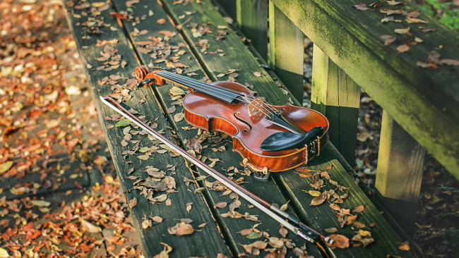 Обои картинки фото музыка, -музыкальные инструменты, скамья, скрипка, улица, листья