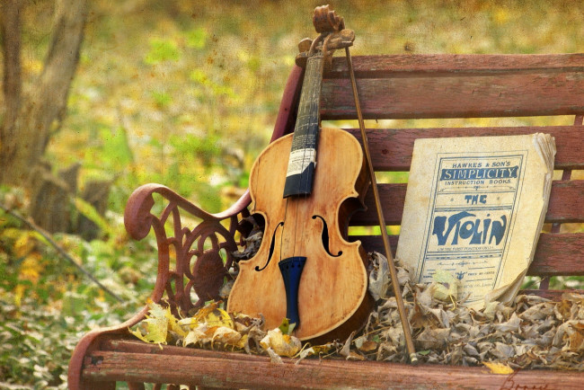 Обои картинки фото музыка, -музыкальные инструменты, ноты, скрипка, скамья, листья, улица, скамейка
