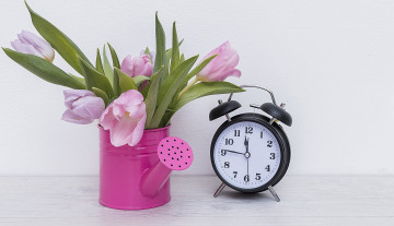 Картинка разное часы +часовые+механизмы лейка тюльпаны бутоны будильник